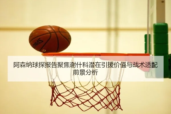 阿森纳球探报告聚焦谢什科潜在引援价值与战术适配前景分析 - kaiyun